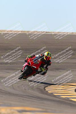 media/Jan-13-2024-SoCal Trackdays (Sat) [[9c032fe5aa]]/Bowl Exit Set 2 (1135am)/